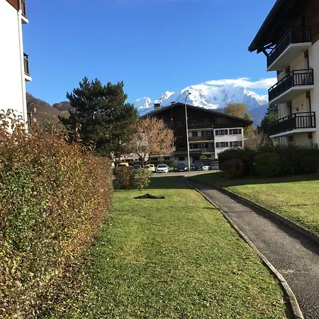 Mont Blanc Holidays Dans Avec Gardien Appartement *