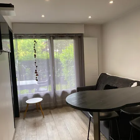 Mont Blanc Holidays Dans Avec Gardien Apartment *